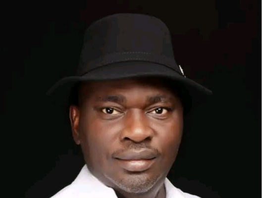 Okuama Killing: Lawmaker Cautions Military In Hunting For Perpetrators 1 Bayelsa 529x400 1