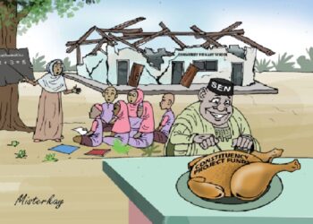 Much Ado About Constituency Projects