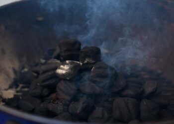 ‘95,000 Women, Children Die Annually From Charcoal Smoke’