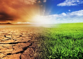 Foundation Moves To Curb Impact Of Climate Change, Insecurity In Northwest