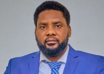 Nigeria Needs $4bn To Achieve Green Energy Goals