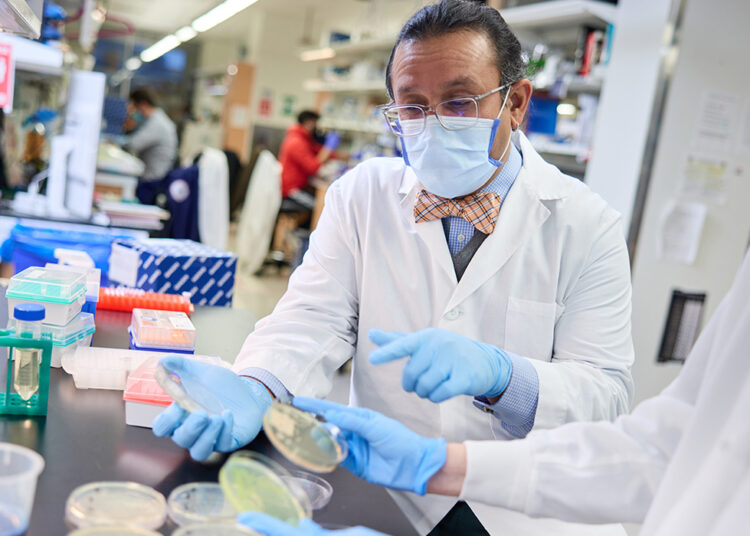 Gautam Dantas, PhD, left, talks with postdoctoral researcher Miranda Wallace, PhdD, in their lab in the Couch Building on December 17, 2021. MATT MILLER/WASHINGTON UNIVERSITY SCHOOL OF MEDICINE