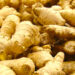 Investing In Ginger Farming For Export 5 Ginger Farmers Lose N12bn To 2023 Blight Epidemic