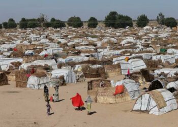 Fire Claims Lives Of 2 Children In Borno IDP Camp