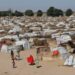 Fire Claims Lives Of 2 Children In Borno IDP Camp