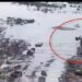 NAF Airstrikes Destroy 2 Illegal Refining Sites In Rivers 5 NAF Airstrikes Destroy 2 Illegal Refining Sites In Rivers