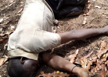 Suspected Gunmen Kill Farmer In Edo Community 