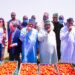 GB Foods Targets Reducing Import With 620MT/Day Tomato Processing Plant
