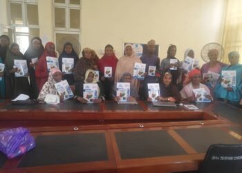 BUK, CITAD Decry Marginalisation Of Women In Digital Sector