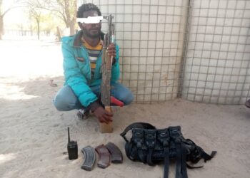 2 Terrorists’ Commanders Surrender To MNJTF