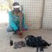 2 Terrorists’ Commanders Surrender To MNJTF 5 2 Terrorists’ Commanders Surrender To MNJTF