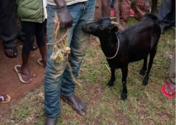 Man Escapes Lynching Over Alleged Theft Of Goats In Akwa Ibom