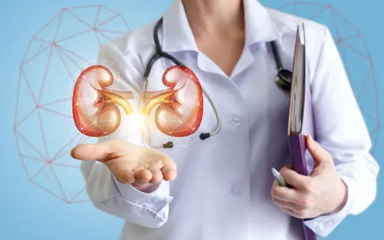 Expert Seeks Kidney Disease Screening For Employment, Admission 1 Kidney