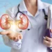 Expert Seeks Kidney Disease Screening For Employment, Admission