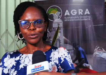 IWD: Stakeholders Advocate Women  Support In Agric Investments