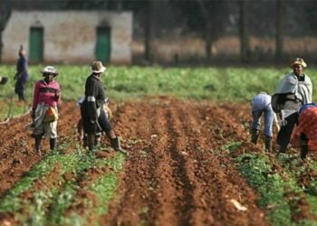 Food Security: Oyo Trains Agriculture Officers