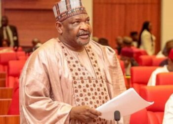 I Never Said  2024 Budget Was Padded – Senator Ningi