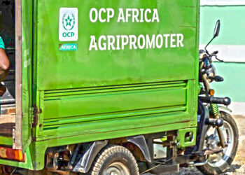 OCP Africa, BlackCountry Farms To Headline National Agric Science Contest