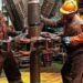 Security Measures In Niger Delta Increased Oil Output By 200,000 Barrels – Verheijen