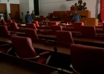 Power Outage Stalls Plenary In Senate