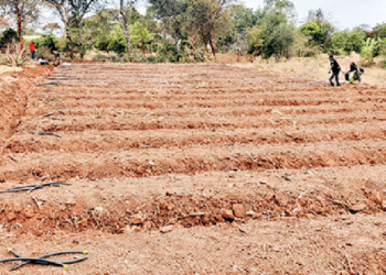 Planning For Raining Season Farming