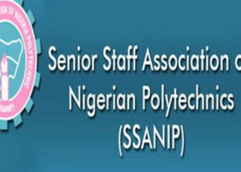 Poly Senior Workers Seek End To Hardship, Insecurity, Others