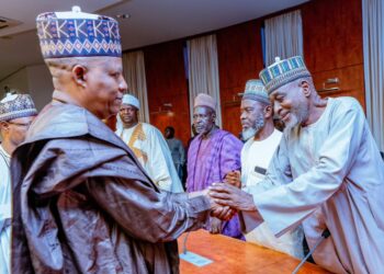 Leave No Stone Unturned In Rescuing Kaduna Pupils, Tinubu Orders Security Agencies