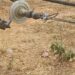 Blackout Looms As TCN Reports Vandalism Of Shiroro-katampe Transmission Line