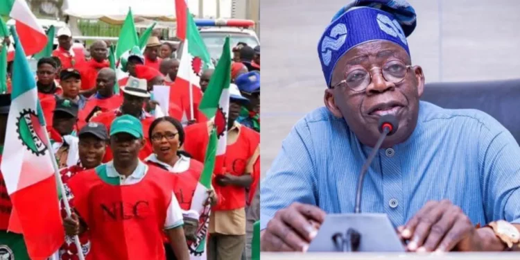 NLC Tackles Tinubu Over Protests Comment, Says Labour Not After President's Job 1 Tinubu nlc 750x375 1