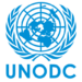 Nigeria, Transit Hub For Illegal Trade In Wildlife – UNODC