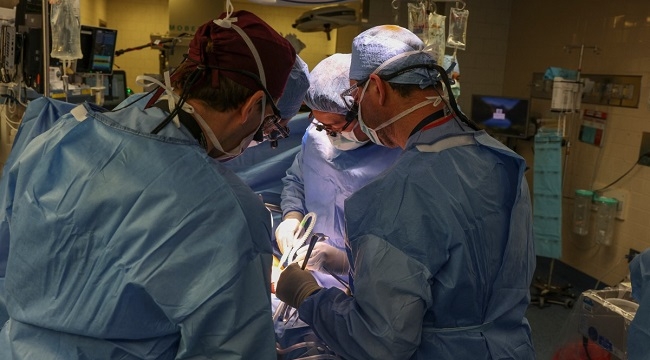 US Surgeons Transplant Pig Kidney Into Human 1 US Surgeons Transplant Pig Kidney Into Human