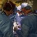 US Surgeons Transplant Pig Kidney Into Human