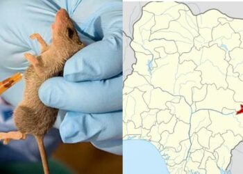 19 Die Of Lassa Fever In Taraba