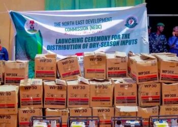 1500 Farmers To Benefit From NEDC Dry Farming Inputs In Yobe