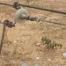 JUST-IN: Darkness Looms In Abuja As Vandals Destroy TCN Transmission Line 5 JUST-IN: Darkness Looms In Abuja As Vandals Destroy TCN Transmission Line