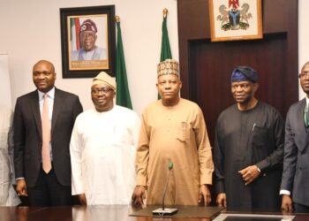 NSIA, NSP Sign Agreement To Establish Shiroro Solar Generating Company