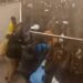 BREAKING: 2 Nasarawa Varsity Students Die In Palliatives Collection Stampede 5 BREAKING: 2 Nasarawa Varsity Students Die In Palliatives Collection Stampede
