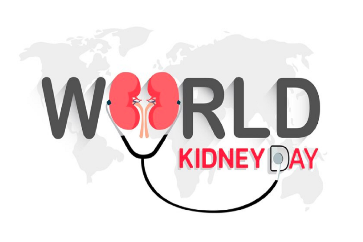 essay on world kidney day