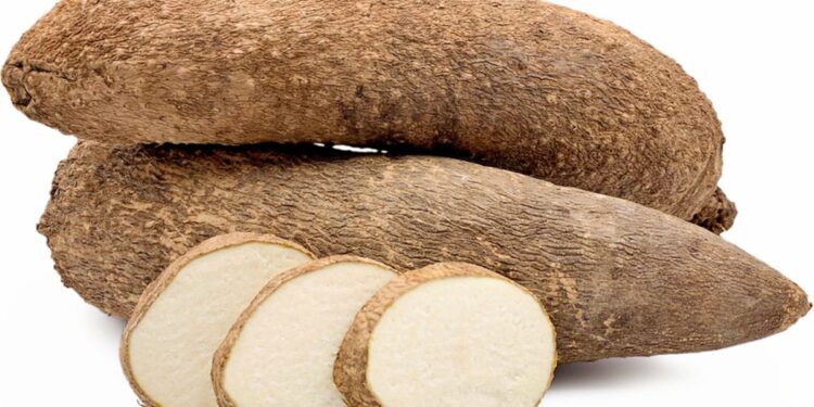 yam festival