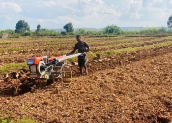 Mechanisation Boosting Smallholder Farmers’ Productivity  – Report