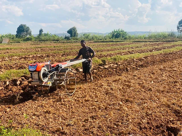 Mechanisation Boosting Smallholder Farmers’ Productivity – Report 1 efa475 c36c84ce47914735bb79b29433a7ce38mv2