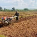 Mechanisation Boosting Smallholder Farmers’ Productivity  – Report