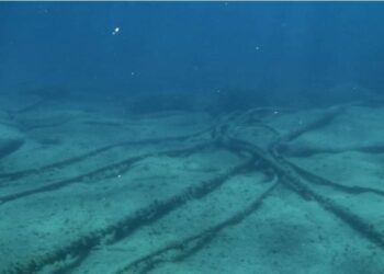 Undersea Cable Cuts: Voice, Data Services Now 90% Restored — NCC