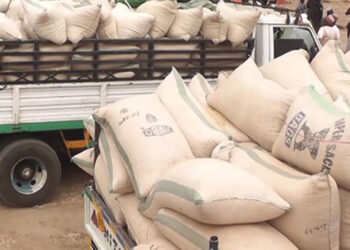 Customs Releases 15 Trucks Of Seized Grains In Sokoto