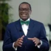 AfDB President Adesina To Receive Awolowo Prize For Leadership