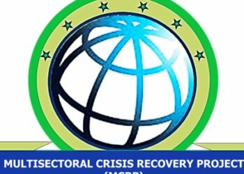 Yobe Stakeholders Hold Engagement On Mapping GBV Service Providers