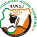 Jigawa NAWOJ Seeks Legal Reforms To Protect Women, Children