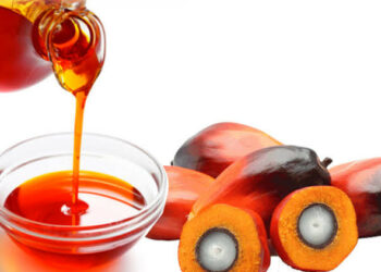 Forex: Nigeria Can Save N94bn On Non-import Of Palm Oil –SON