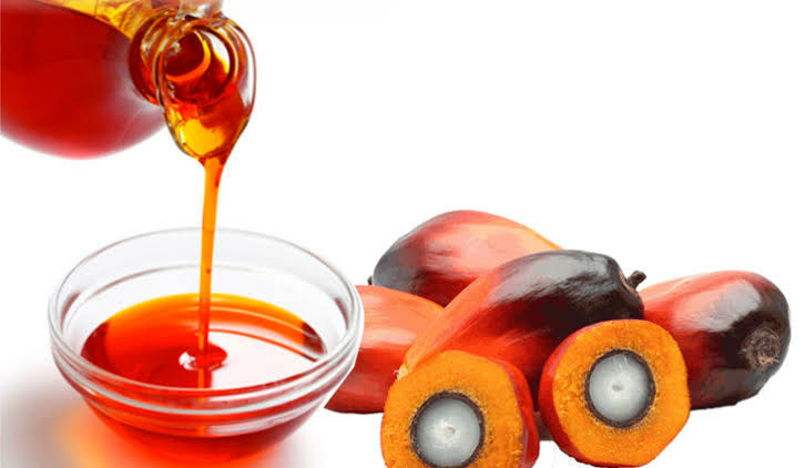 Palm Oil Plantation Possible Without Deforestation – Group 1 palm oil