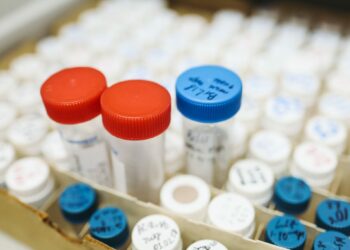 Doping: WADA Suspends Only Africa Drug Testing Lab